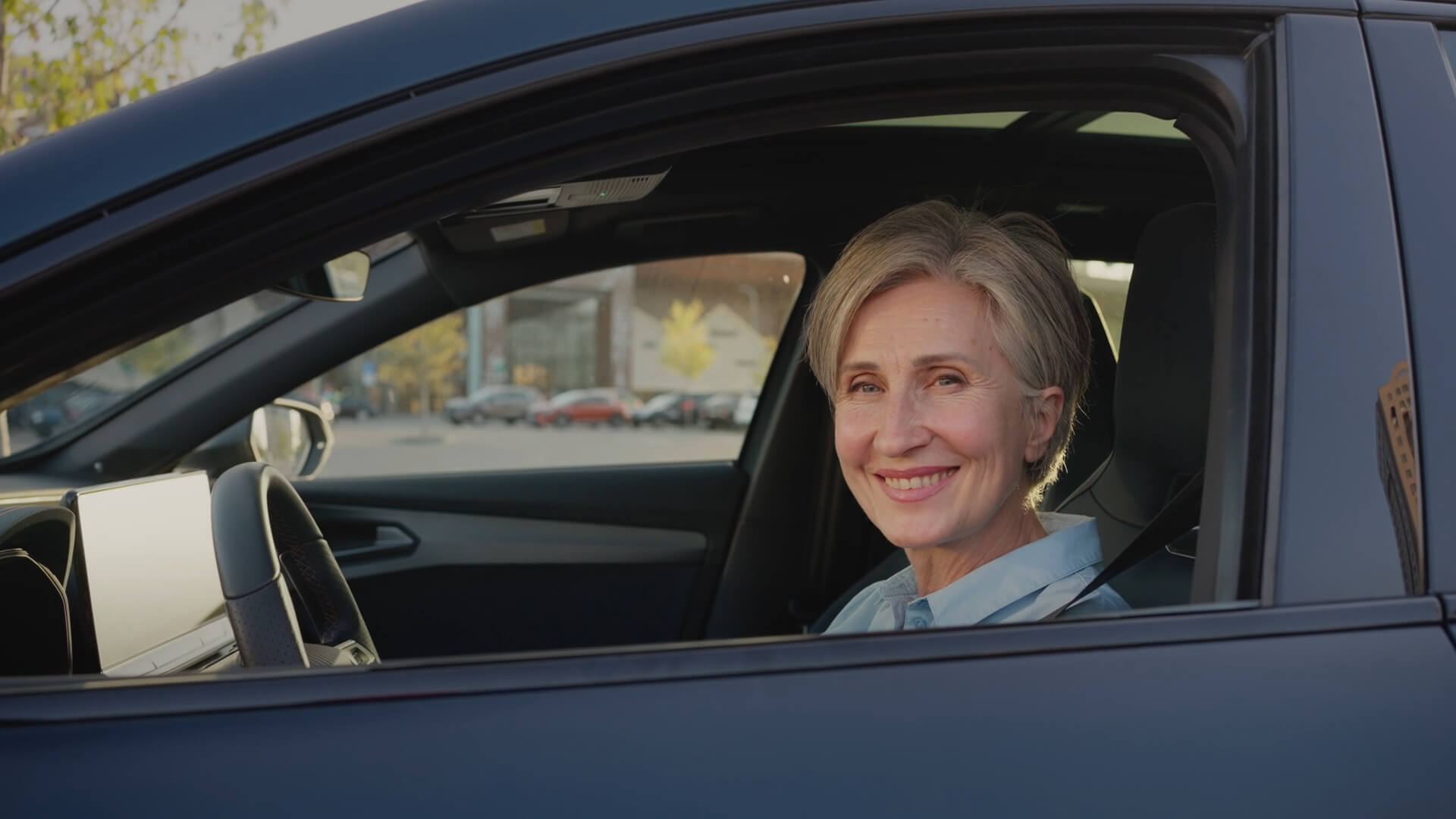 Elderly Woman in the Car