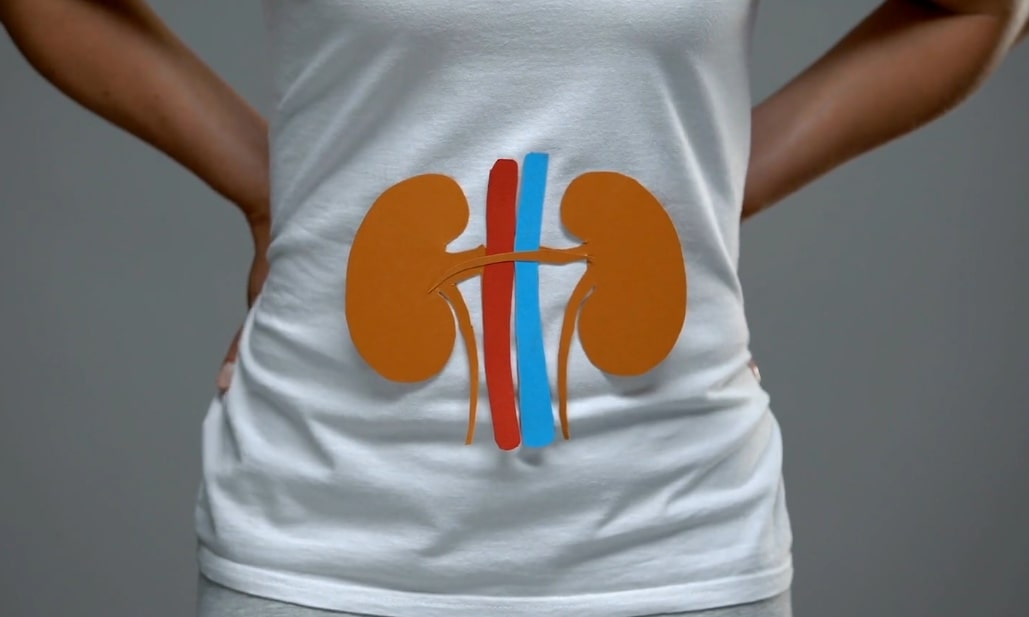 Stage 2 Kidney Disease